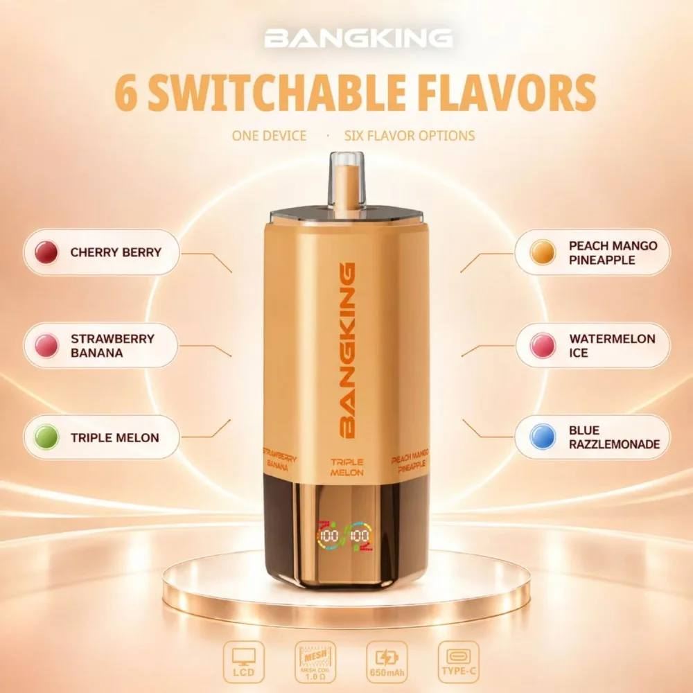Bang King 360K 6-in-1 wholesale – buy in bulk from Euro Vapes Germany
