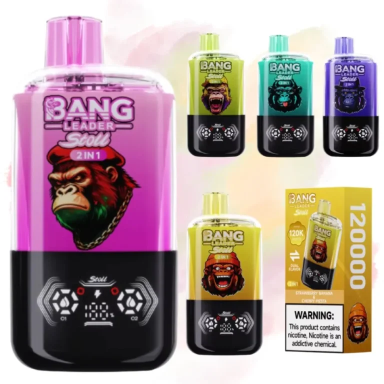 Bang Leader 120K Dual Flavour wholesale – photo 1