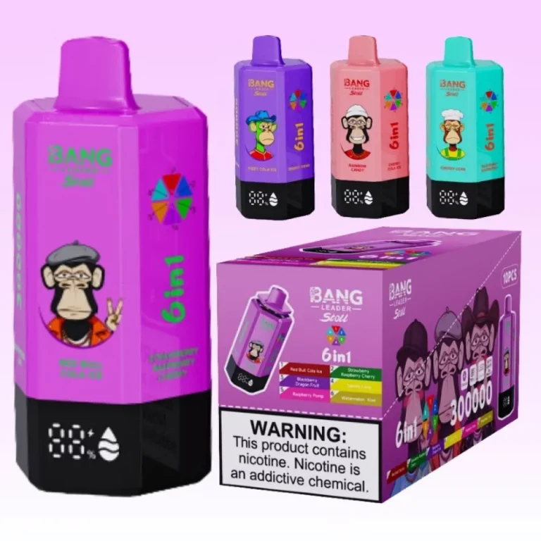Bang Leader 300K 6-in-1 wholesale – photo 1