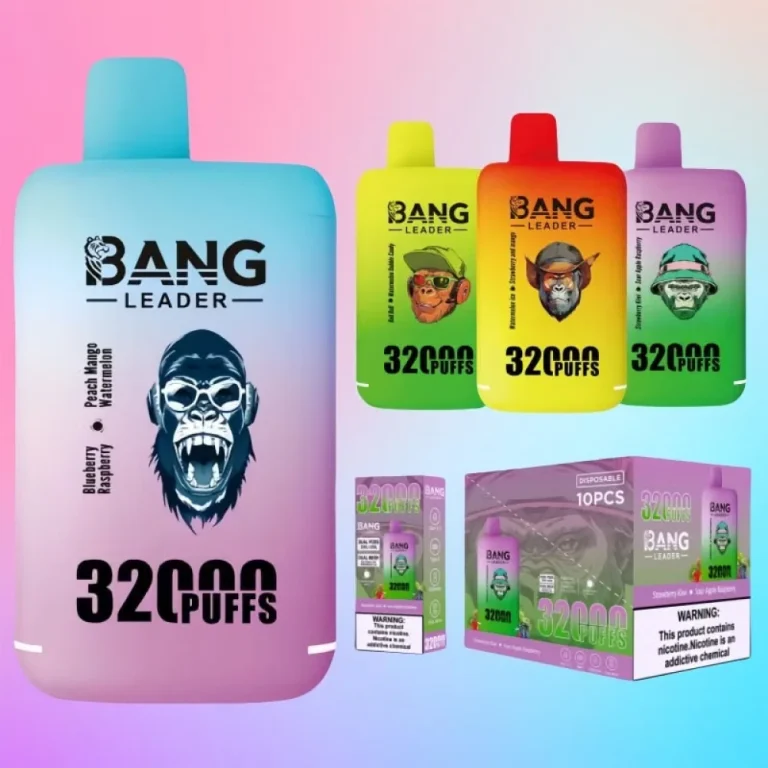 Bang Leader 32000 Dual Flavour wholesale – buy in bulk from Euro Vapes Germany