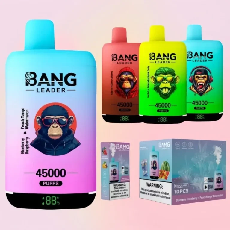 Bang Leader 45000 Dual Flavour wholesale – buy in bulk from Euro Vapes Germany